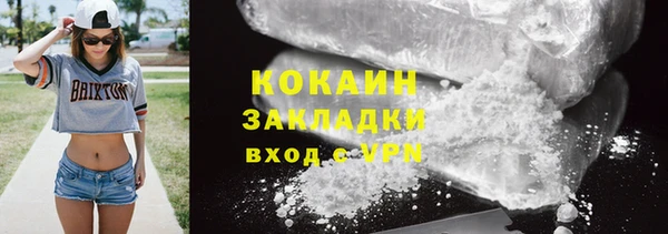 дживик Арсеньев