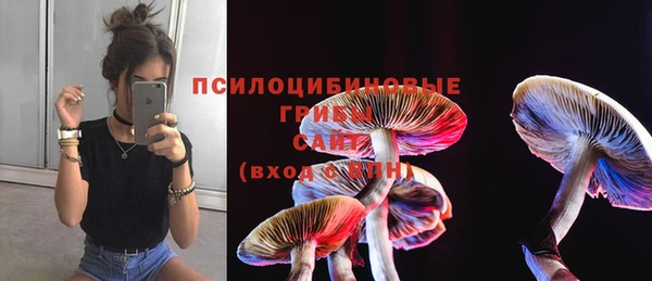 дживик Арсеньев