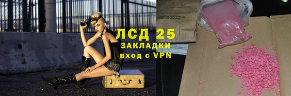 ГАЛЛЮЦИНОГЕННЫЕ ГРИБЫ Аркадак