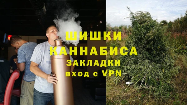 ГАЛЛЮЦИНОГЕННЫЕ ГРИБЫ Аркадак