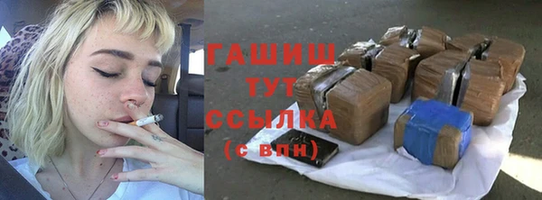индика Покачи