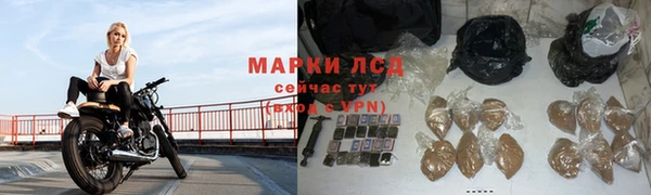 ГАЛЛЮЦИНОГЕННЫЕ ГРИБЫ Аркадак