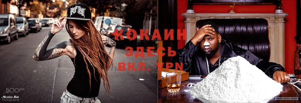 ГАЛЛЮЦИНОГЕННЫЕ ГРИБЫ Аркадак