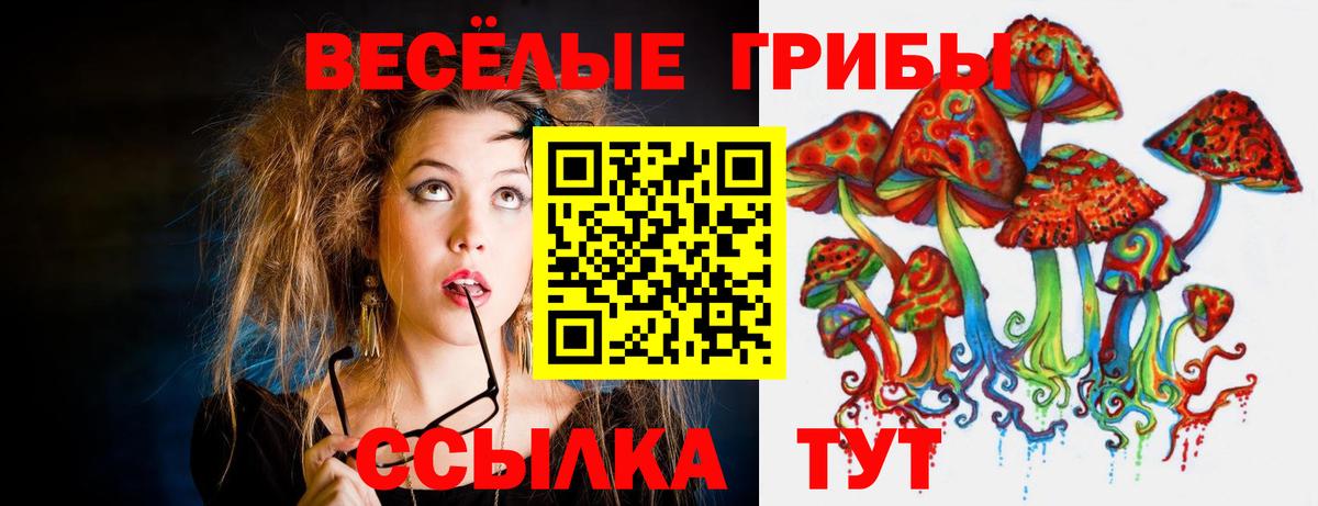 Куйбышев  Галлюциногенные грибы мухоморы  Вход с VPN  Галлюциногенные грибы GOLDEN TEACHER 